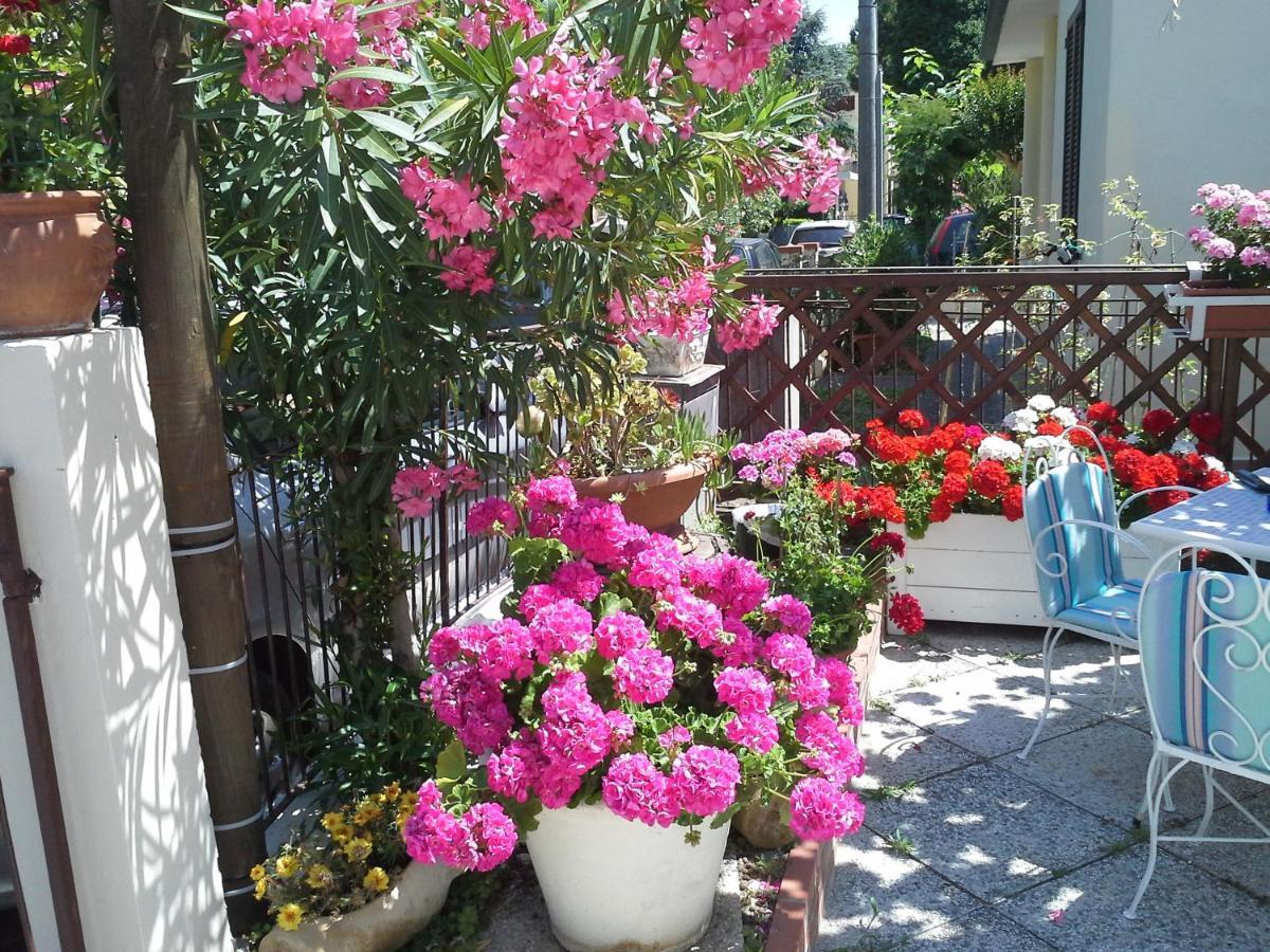 Villa Luana Τσέρβια Εξωτερικό φωτογραφία
